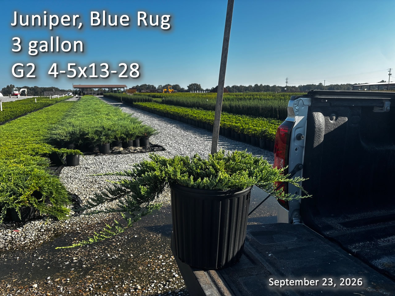 gallery/jbr3 g2 sept23B.jpg